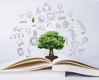 职场攻略：职场生存法则三句话助你成功